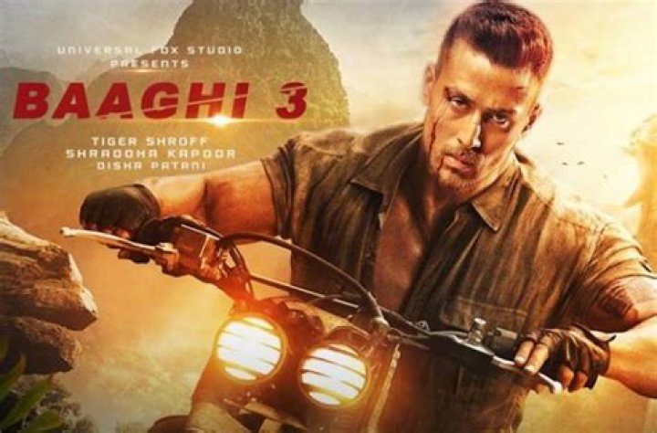 Baaghi 3 Cast, Actors, Producer, Director, Roles, Salary