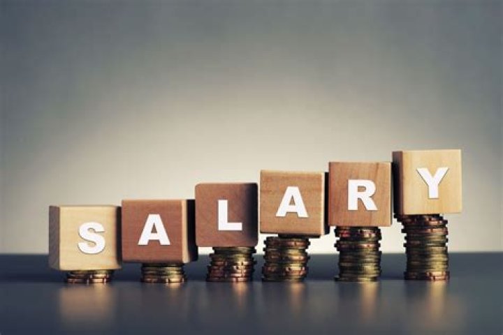 Bayani Fernando Net Worth 2023: Salary And Earning Sources