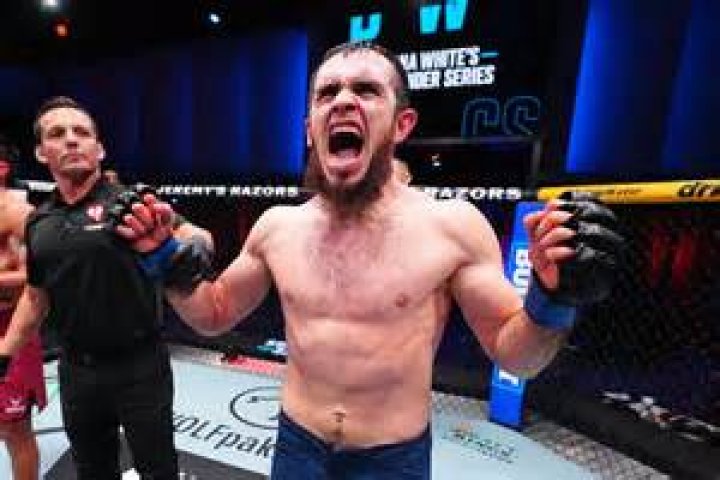 Dillon Danis Turkey Meme Explained: Controversy And Scandal