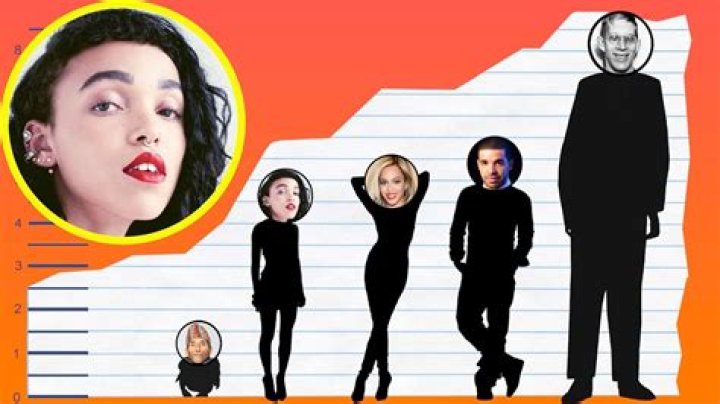 FKA twigs Height