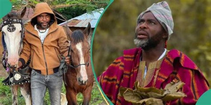 Ibrahim Chatta’s Staff Injures Pregnant Horse in His Film Village, Actor Reacts: “I’ll Lock You Up”