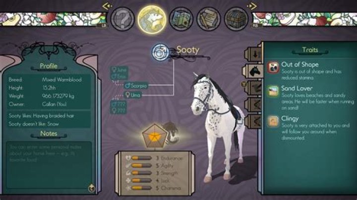 Key Stats That Will Dictate the Game