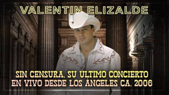 Valentín Elizalde's Biography And Facts'